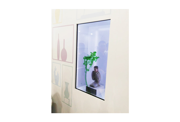 Transparent LCD glass window